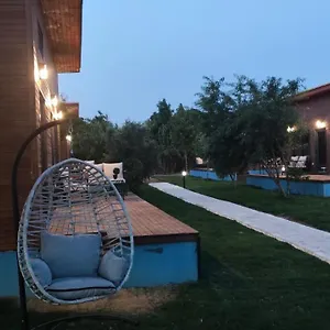 https://orange-bungalow-evleri-07115.allantalyahotels.org